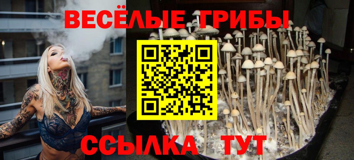 Ялта  Псилоцибиновые грибы Cubensis  Вход с VPN  купить  цена  Псилоцибиновые грибы Psilocybine cubensis 